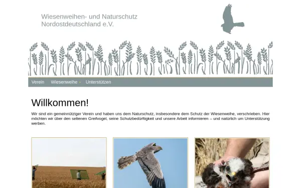 weihenschutz.de