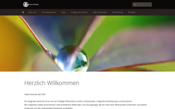 dirkarens.de