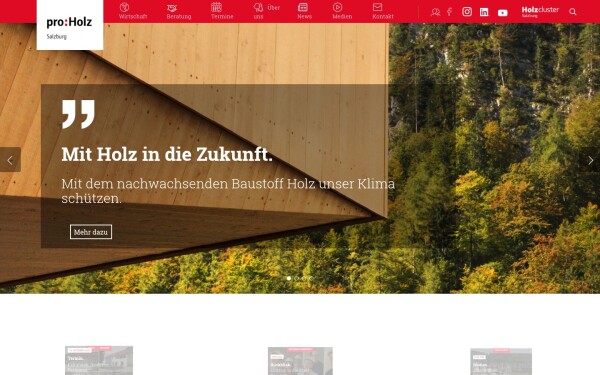proholz-salzburg.at