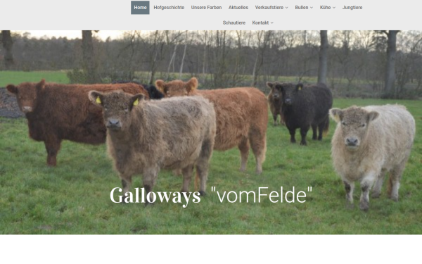 galloway-gerling.de