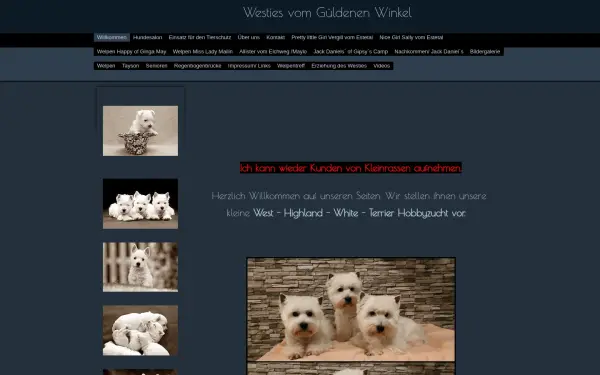 westiesvomgueldenenwinkel.de