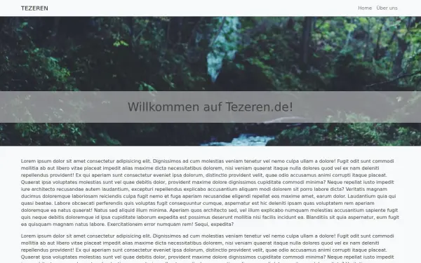 www.tezeren.de