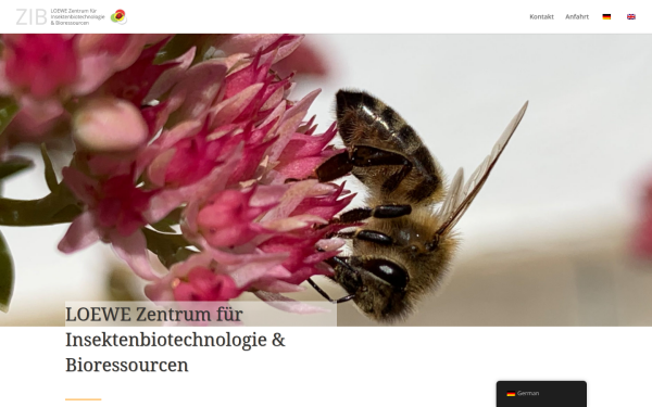 insekten-biotechnologie.de