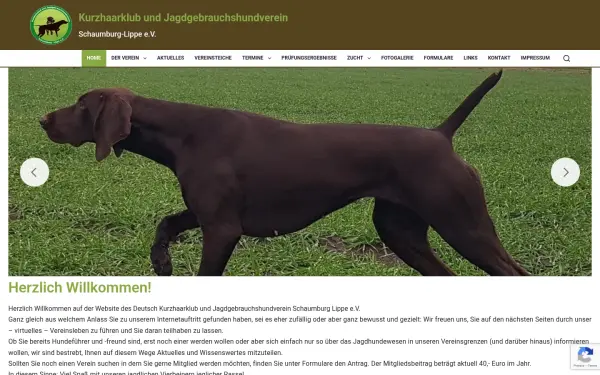dk-schaumburg.de