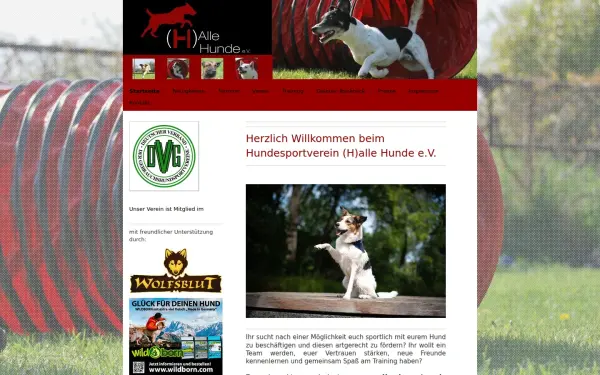 www.halle-hunde.de