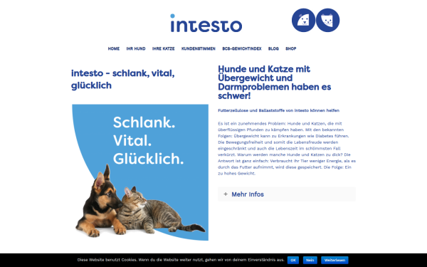 www.intesto.de