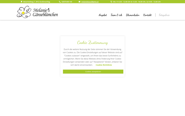 melaniesgaensebluemchen.at