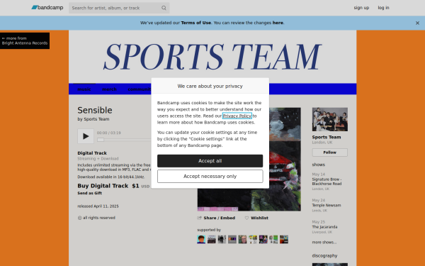 sportsteamband.bandcamp.com