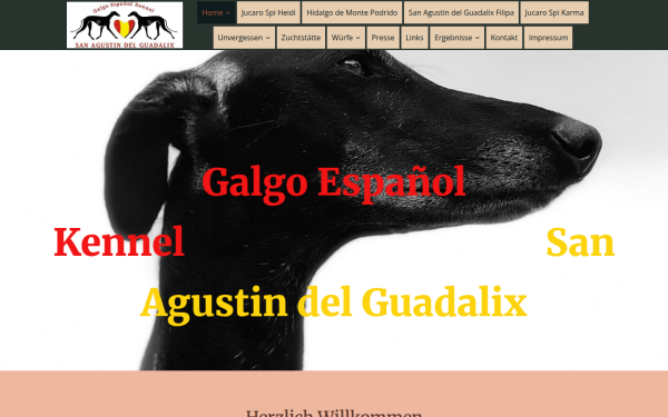 galgo-espanoles.de