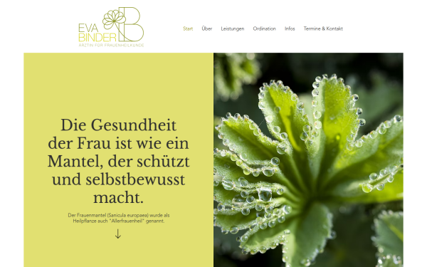 www.gyn-binder.at