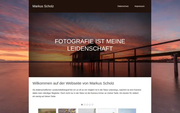 scholz-markus.de