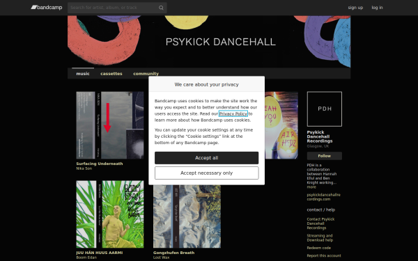 psykickdancehallrecordings.bandcamp.com