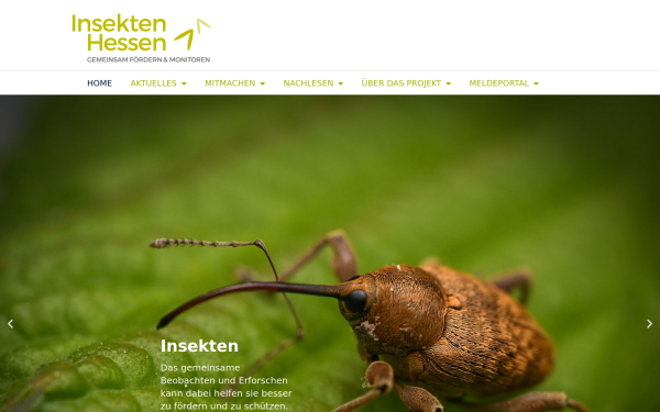 insekten-hessen.info