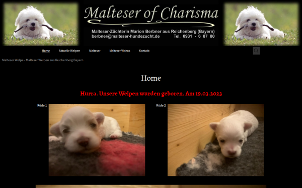 www.malteser-welpe.de
