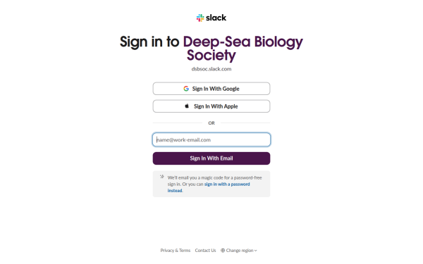 dsbsoc.slack.com