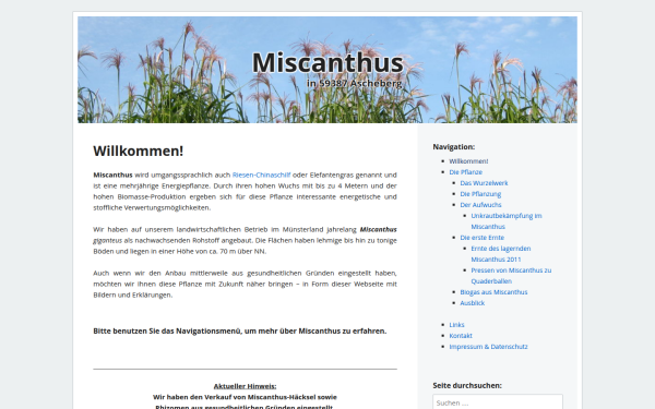 miscanthus-ascheberg.de