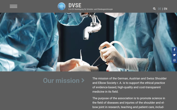 www.dvse.info