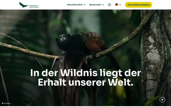 wilderness-international.org