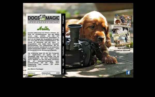 dogs-in-magic.de