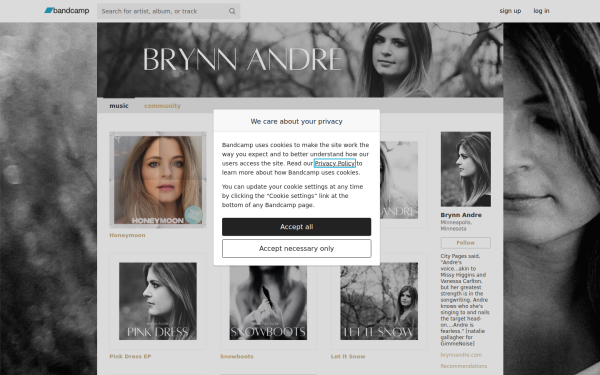 brynnandre.bandcamp.com