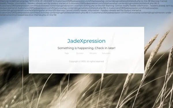www.jadexpression.com