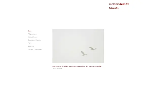 www.demitzdesign.de