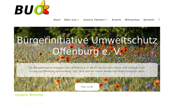 die-buo.de