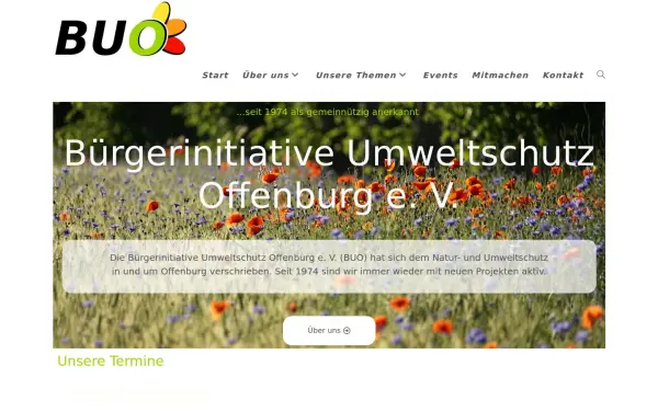 die-buo.de