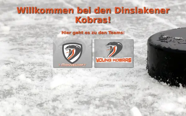www.erv-dinslakener-kobras.de