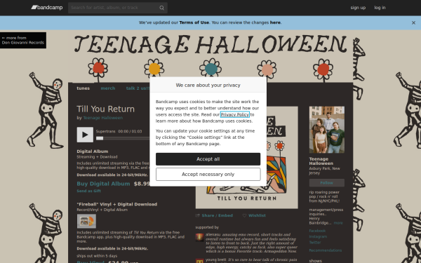 teenagehalloween.bandcamp.com