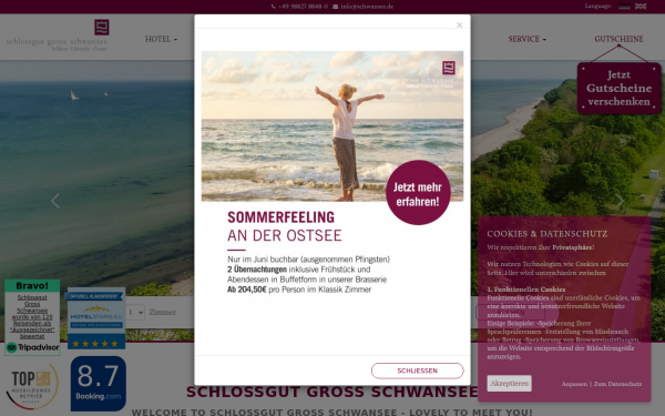 www.schwansee.de