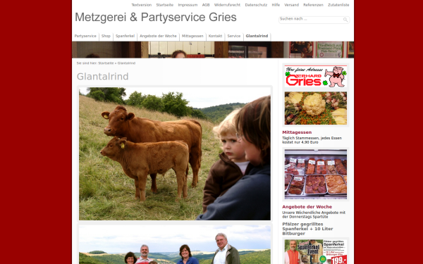 meine-neuen-webseiten.de