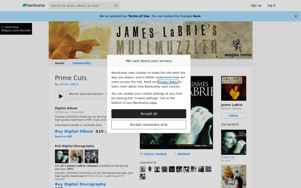jameslabrie.bandcamp.com