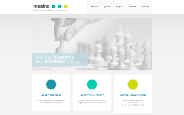 mesino-arbeitsschutz.de