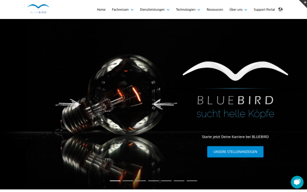 bluebird-ag.com