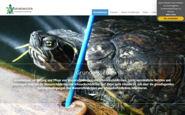 grundwissen-wasserschildkroeten.de
