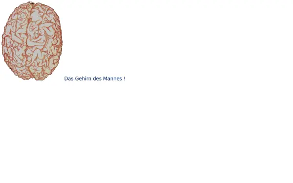alphaomega3.de