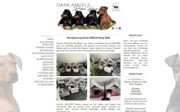 www.darkangels-deutschepinscher.de