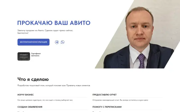 demintcev.ru