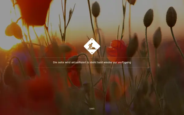 www.adhoc-it-solution.de