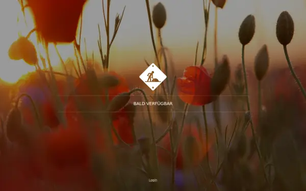 www.mann-net.de