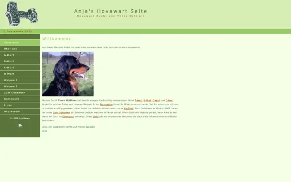 anja-werwer.de