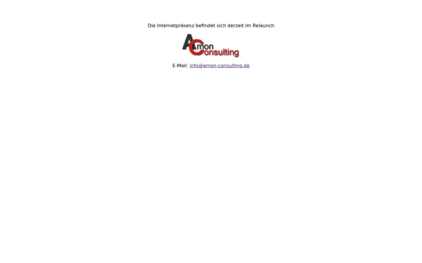 amon-consulting.de