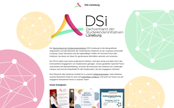 dsi-lueneburg.de