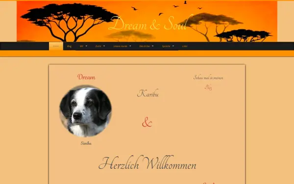 dreamandsoul.de
