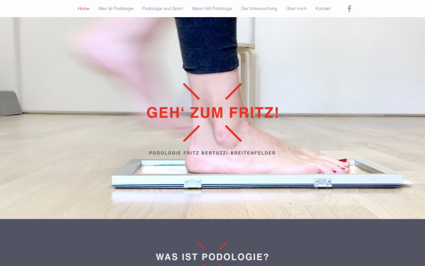 www.geh-zum-fritz.at