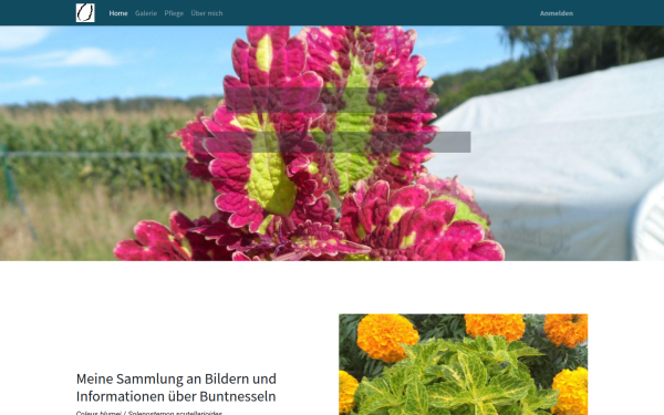www.coleus-db.de