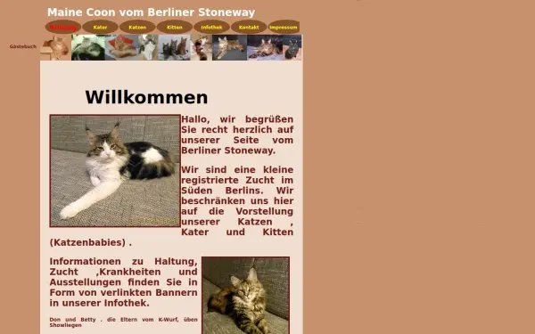 maine-coon-vom-berliner-stoneway.de