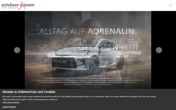 ah-axmann.de