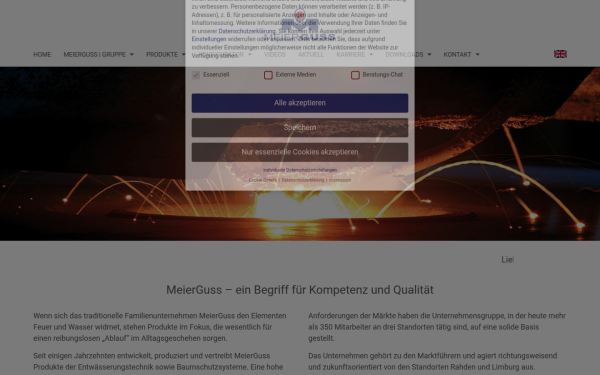 www.meierguss.de